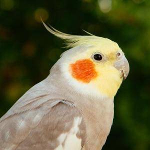 用户头像